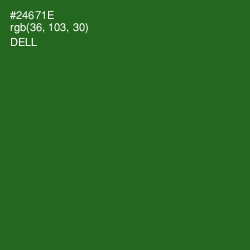 #24671E - Dell Color Image