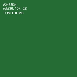 #246B34 - Tom Thumb Color Image