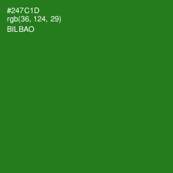 #247C1D - Bilbao Color Image