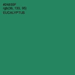 #24855F - Eucalyptus Color Image