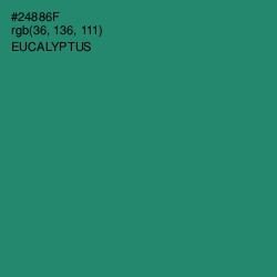 #24886F - Eucalyptus Color Image