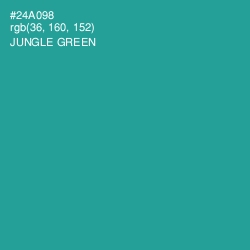 #24A098 - Jungle Green Color Image