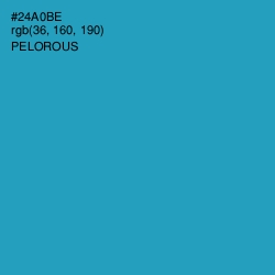 #24A0BE - Pelorous Color Image