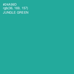 #24A99D - Jungle Green Color Image