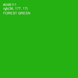 #24B111 - Forest Green Color Image