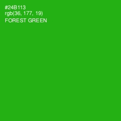 #24B113 - Forest Green Color Image