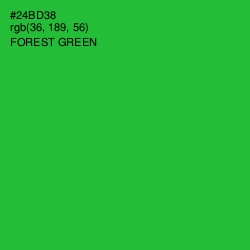 #24BD38 - Forest Green Color Image