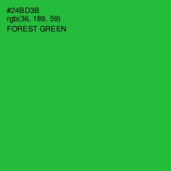 #24BD3B - Forest Green Color Image