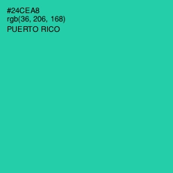 #24CEA8 - Puerto Rico Color Image