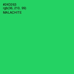 #24D263 - Malachite Color Image