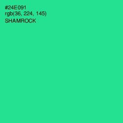 #24E091 - Shamrock Color Image