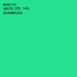 #24E191 - Shamrock Color Image