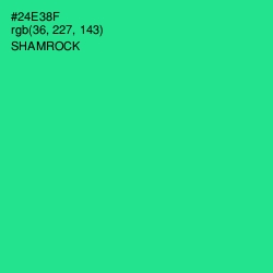 #24E38F - Shamrock Color Image