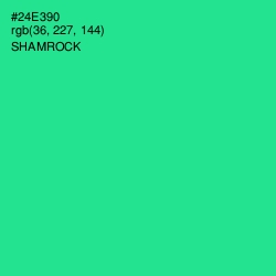 #24E390 - Shamrock Color Image