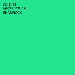 #24E491 - Shamrock Color Image
