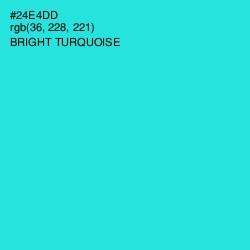 #24E4DD - Bright Turquoise Color Image