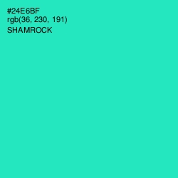 #24E6BF - Shamrock Color Image