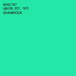 #24E7A7 - Shamrock Color Image