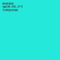 #24E8D9 - Turquoise Color Image