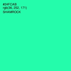 #24FCAB - Shamrock Color Image