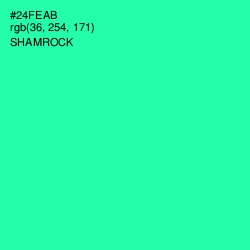 #24FEAB - Shamrock Color Image