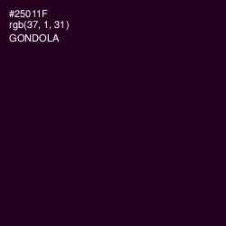 #25011F - Gondola Color Image
