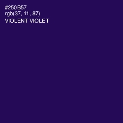 #250B57 - Violent Violet Color Image