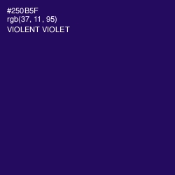 #250B5F - Violent Violet Color Image