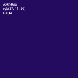 #250B60 - Paua Color Image