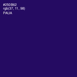 #250B62 - Paua Color Image