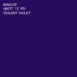 #250C5F - Violent Violet Color Image