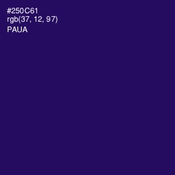 #250C61 - Paua Color Image