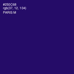 #250C68 - Paris M Color Image