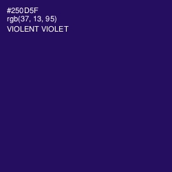 #250D5F - Violent Violet Color Image