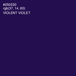 #250E50 - Violent Violet Color Image