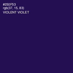 #250F53 - Violent Violet Color Image