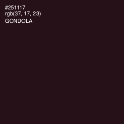 #251117 - Gondola Color Image
