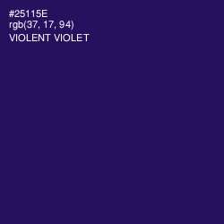 #25115E - Violent Violet Color Image