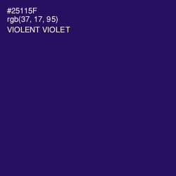 #25115F - Violent Violet Color Image