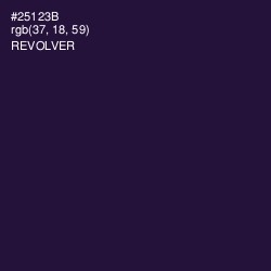 #25123B - Revolver Color Image