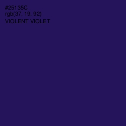 #25135C - Violent Violet Color Image