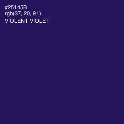 #25145B - Violent Violet Color Image