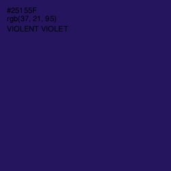 #25155F - Violent Violet Color Image