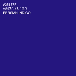 #25157F - Persian Indigo Color Image