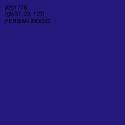 #25177B - Persian Indigo Color Image