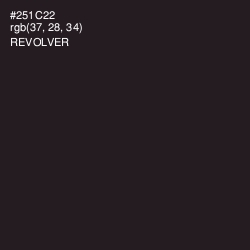 #251C22 - Revolver Color Image