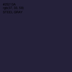 #25213A - Steel Gray Color Image