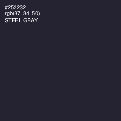 #252232 - Steel Gray Color Image