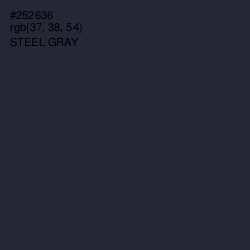 #252636 - Steel Gray Color Image