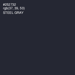 #252732 - Steel Gray Color Image
